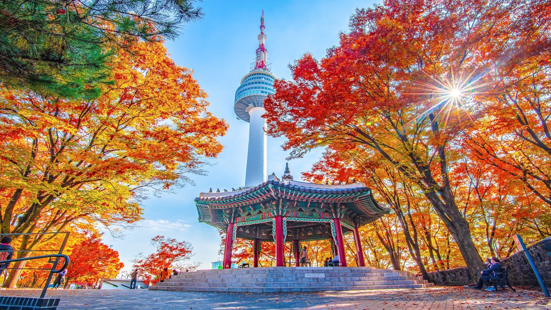 Going to South Korea?!